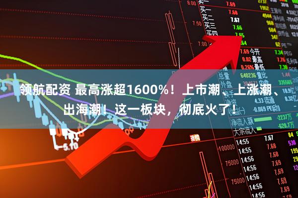 领航配资 最高涨超1600%！上市潮、上涨潮、出海潮！这一板块，彻底火了！