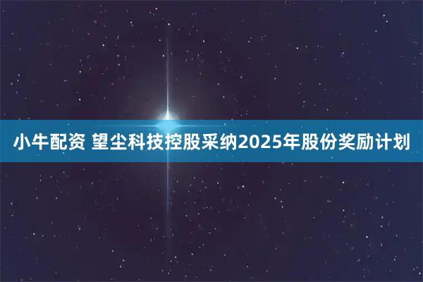 小牛配资 望尘科技控股采纳2025年股份奖励计划