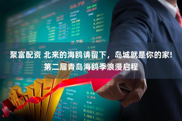 聚富配资 北来的海鸥请留下，岛城就是你的家!第二届青岛海鸥季浪漫启程