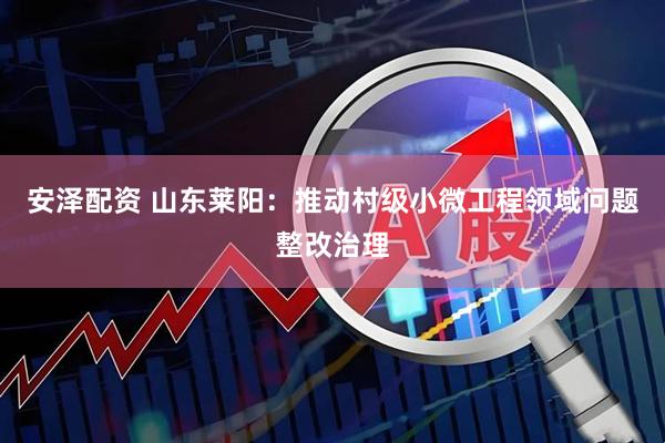 安泽配资 山东莱阳：推动村级小微工程领域问题整改治理